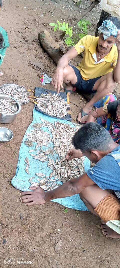 ମୀନାଙ୍ଗା ବା଼ଟିଗୀଣ୍ଡୁ