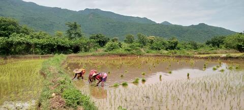 ତଳି ରୁଆଗୀନୁ