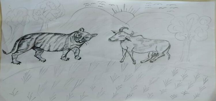 ବଉଳା ଗାଈ